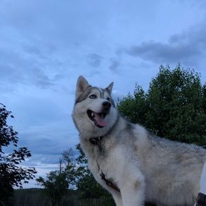 Meet your Posher, Maggie